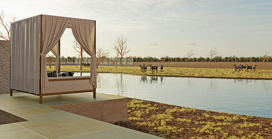 Praveg Safari Velavadar