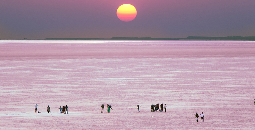Best Way to Experience Rann Utsav