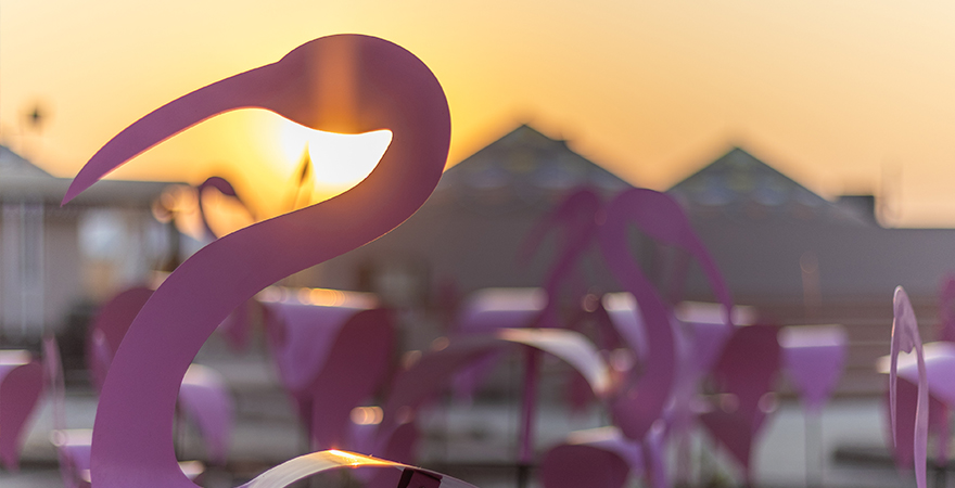 Eco-Tourism at Rann Utsav