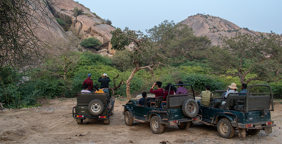 Jawai, a hidden gem in Rajasthan