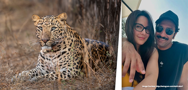 Katrina Kaif and Vicky Kaushal Celebrate Wedding Anniversary in Jawai