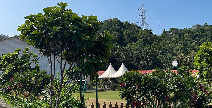 Luxury Meets Culture