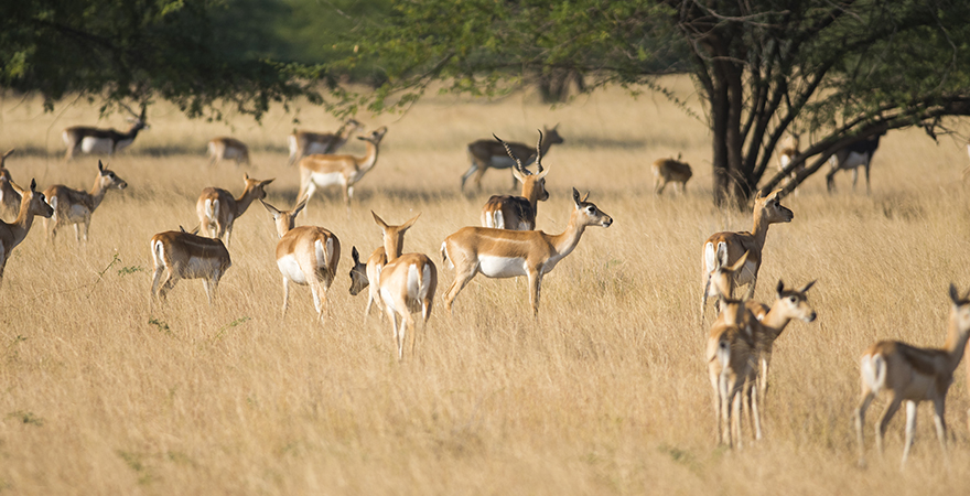 Must-Visit for Wildlife Lovers