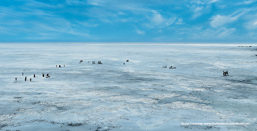 Rann of Kutch Festival