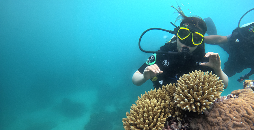 Scuba diving in Lakshadweep
