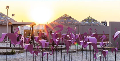 White Rann Resort in Kutch