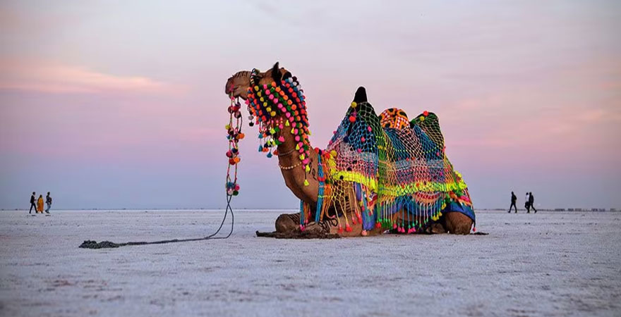 White Salt Desert a Global Attraction