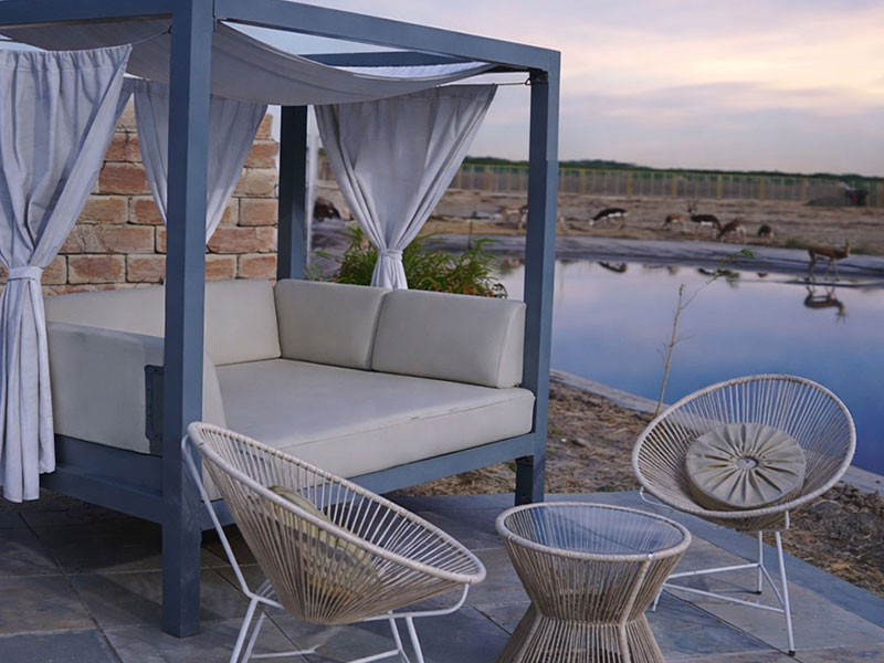 Relax in a Daybed Canopy